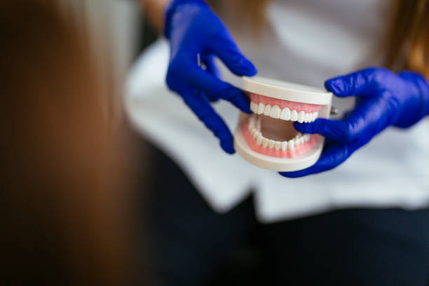 Best Dental Exams and Cleanings  in Enosburg Falls, VT